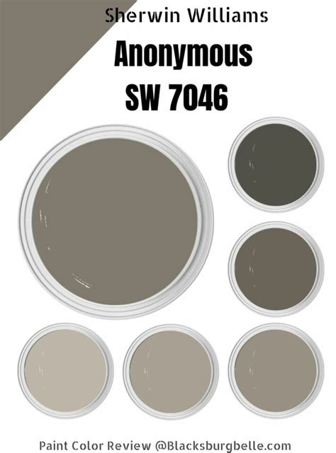 sherwin williams anonymous|sherwin williams anonymous color chart.